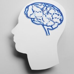 Estudiar el máster en neuroplasticidad y desarrollo cognitivo